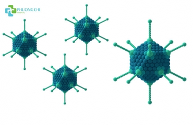 Đề phòng bệnh Adenovirus - Bệnh viện Đa khoa Phương Chi